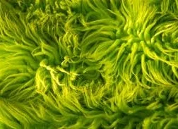 When Is It Time To Replace Your Carpet?
